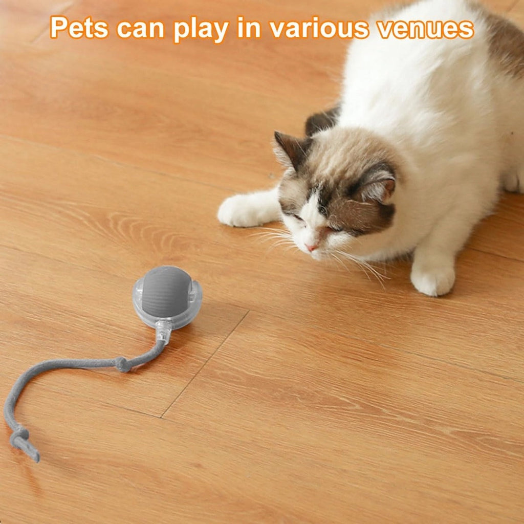 Pelota interactiva para perros y gatos