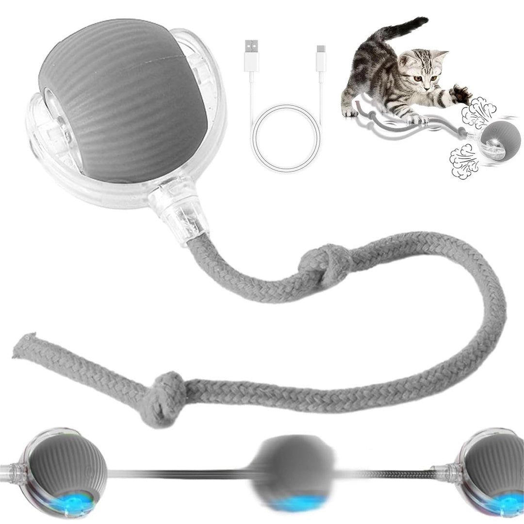 Pelota interactiva para perros y gatos